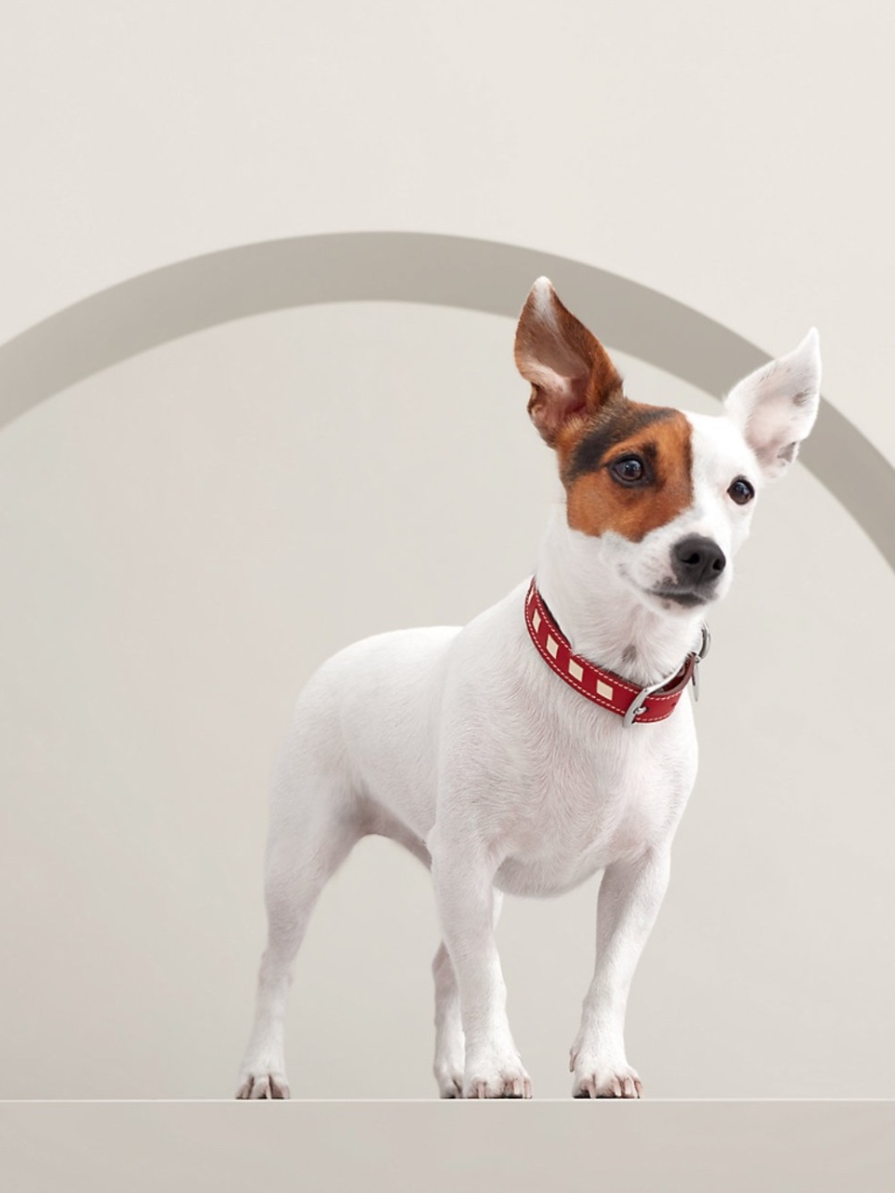 Hermès Leather Dog Collar — Red with White Inlay, Palladium Hardware